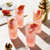 Admiral Crystal Highball Glass (Set of 4)