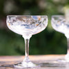 Crystal Cocktail Glasses with Fern Design (Set of 4)