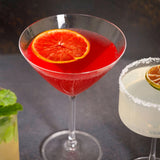 Nice Slice Grapefruit Garnishes For Drinks