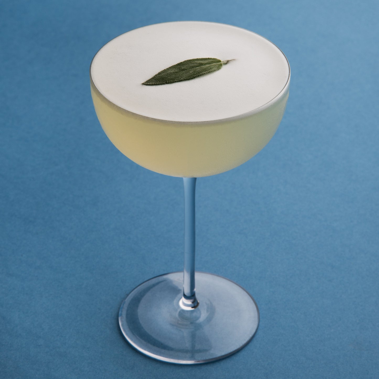 Cocktail Collection Coupe (Set of 2)