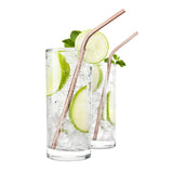 Cocktail Straws
