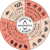 Prickly Pear & Orange Blossom Gin