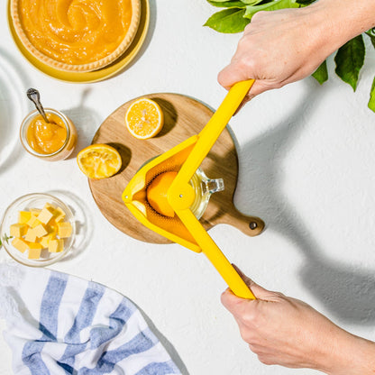 Lemon Fluicer - Fold Flat Easy Juicer