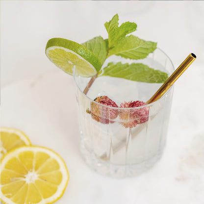 Short Metal Cocktail Straws (Set of 6)