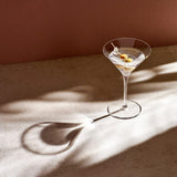 Vintage Martini Glasses (Set of 2)