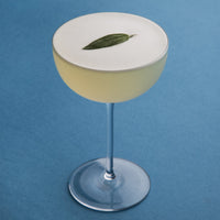 Cocktail Collection Coupe (Set of 2)