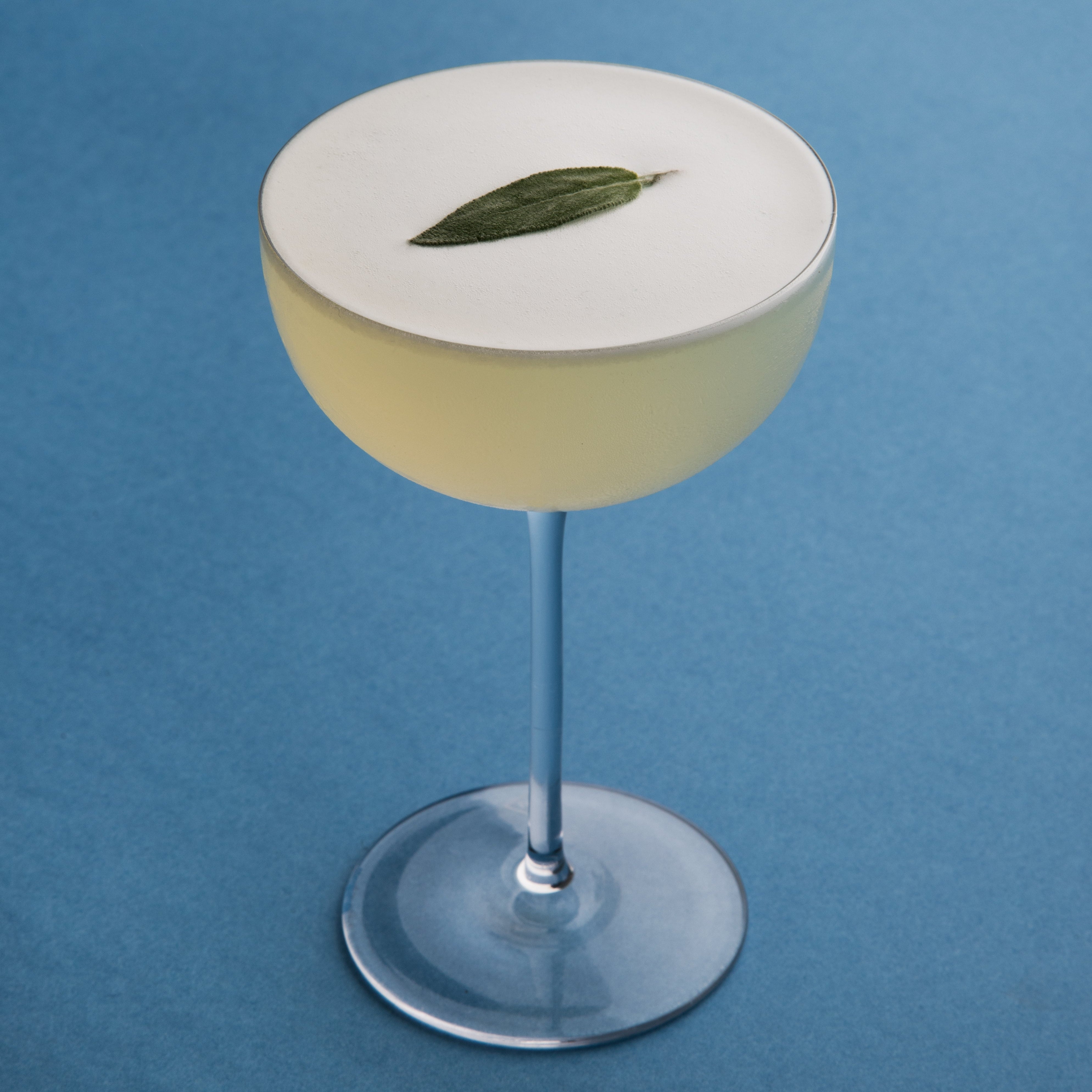 Cocktail Collection Coupe (Set of 2)