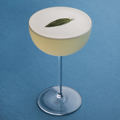 Cocktail Collection Coupe (Set of 2)