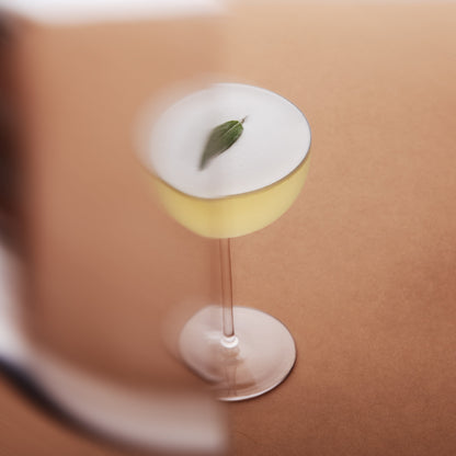 Cocktail Collection Coupe (Set of 2)