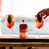Coastal Spritz Non-Alcoholic Aperitif
